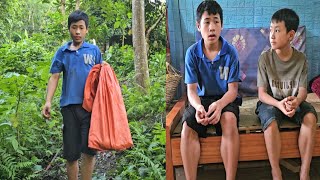 The journey to find pigeons of an orphan boy named Lam