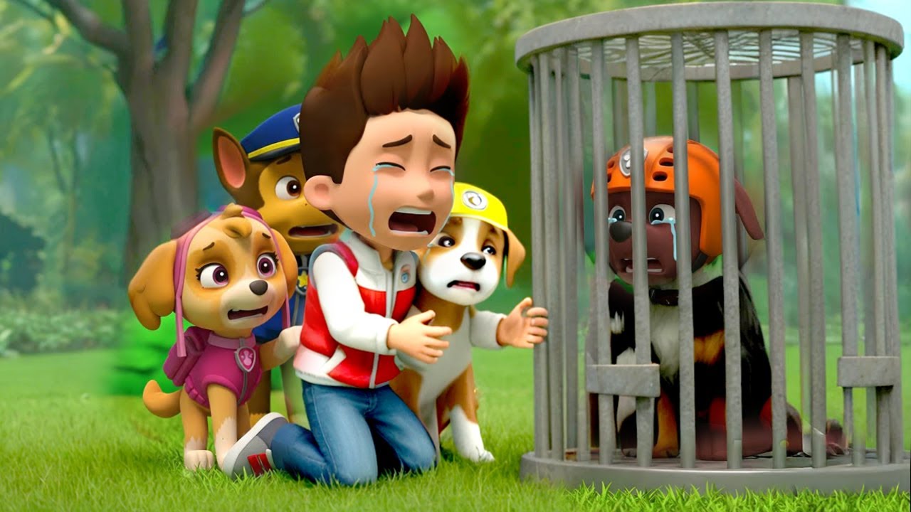 Oh No... Please Release Zuma from the Cage | Sad Story | Paw Patrol Ultimate Rescue | Rainbow 3