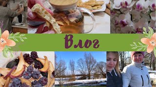 ВЛОГ🕊 ПОСТНЫЕ РЕЦЕПТЫ🍲 ВЕСЕННЯЯ ПРОГУЛКА🌞 ПРОРАЩИВАЮ ТОМАТЫ🌱