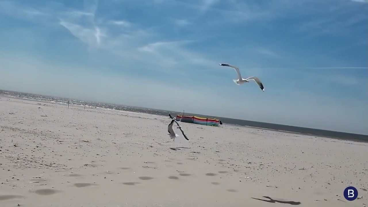 Insel Amrum - Perle der Nordsee
