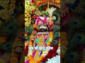 जय श्री खाटू श्याम बाबा #youtubeshorts #viral #video #youtube         manish tech 68