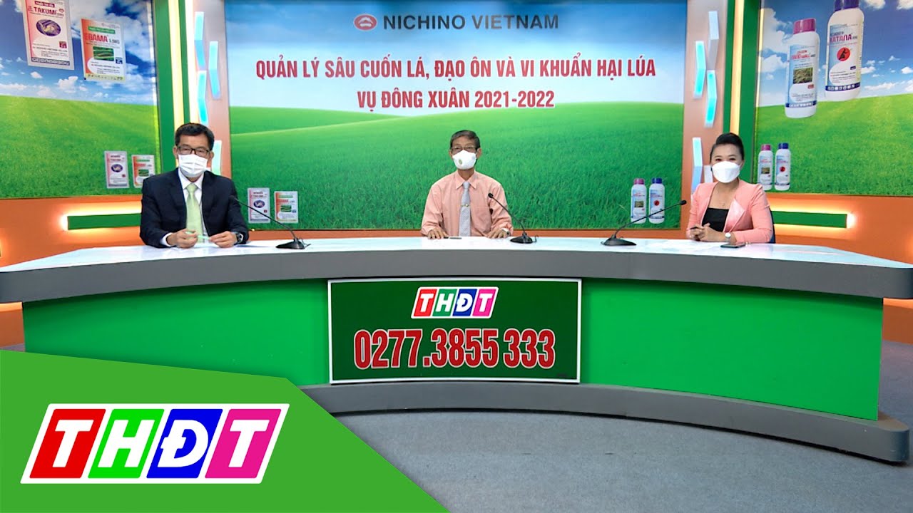 Quản lý sâu cuốn lá, đạo ôn, vi khuẩn hại lúa vụ Đông... - youtube
