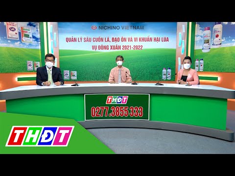 Video Quản lý sâu cuốn lá, đạo ôn, vi khuẩn hại lúa vụ Đông... - youtube