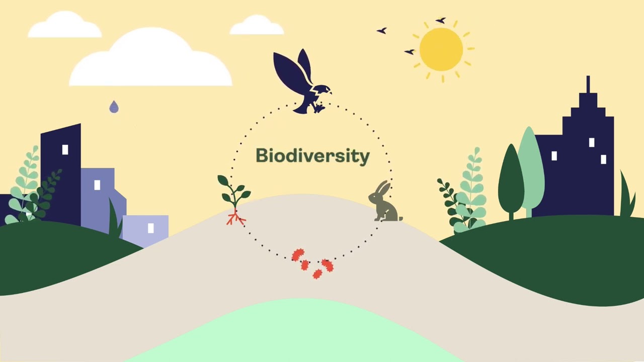 Urban Biodiversity - Course Teaser