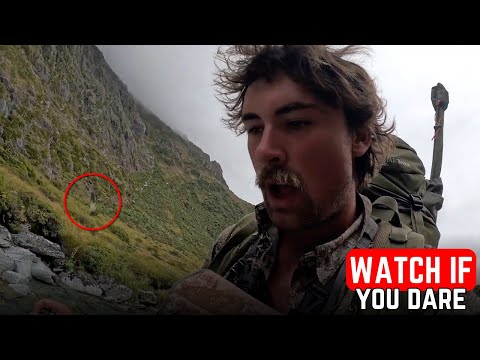 6 FOREST Encounters That Will Make You AFRAID Of It