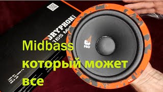 Midbass который может все DL AUDIO GRYPHON PRO 165