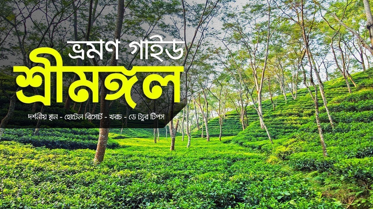 শ্রীমঙ্গল ভ্রমণের সব কিছু 2026 🇧🇩। Sreemangal tour। day tour। Lawachara Forest | Md Ashik