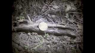 Download Lagu Not Waving But Drowning - \ MP3