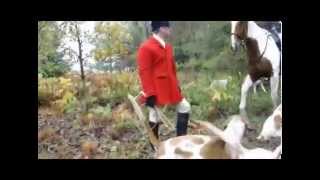 A small team of Sheffield and Manchester Hunt Sabs travelled to Sco...
