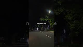 Raiso Dadi siji X Wegah Kelangan | story WA durasi 30 detik