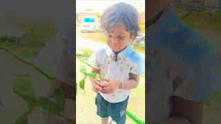 manna ki tamanna hai ki#sorts #vidio #trending #cutebaby #newtred