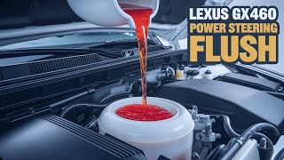 Career Overview 2010-2019 Lexus GX460 Power Steering Flush and Fill