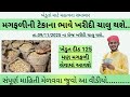 મગફળીની ટેકાના ભાવે ખરીદી ચાલુ થશે 2025 || Magfali online registration gujarat | ikhedut portal 2025