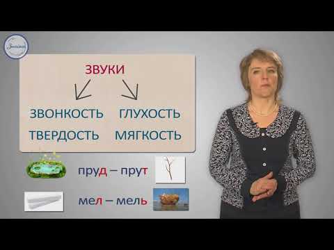 Уроки русского Согласные звуки и их буквы