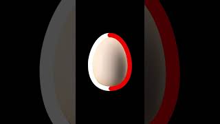 2 Minute Soft-Boiled Egg Visual Timer with Alarm - Egg Cooking Timer screenshot 1