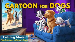 Dog Cartoon: Relaxing Dog TV to Keep Your Dogs Happy All Day Home Alone🐶 Dog Videos & Music for Dogs
