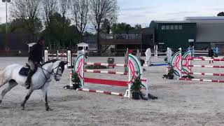 ** Sold ** 1.35m - Naiquiri 8 y old mare by Nonstop x Quickfeuer Vh koekshof