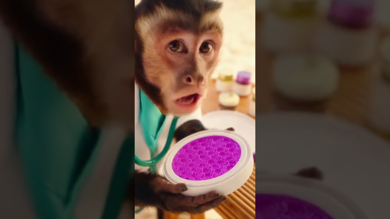 When your makeover is a MONKEY business! 🐒✨ 