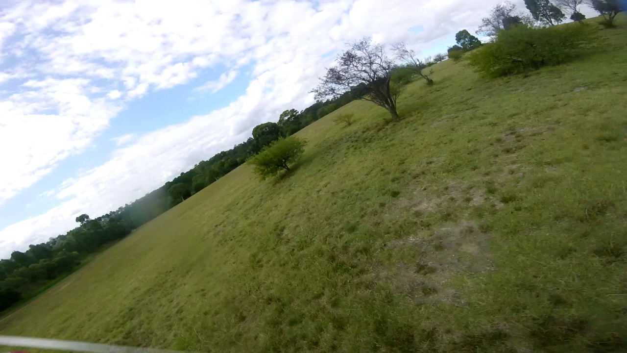 A tribute to DYNAMIX