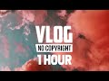1 hour  balynt  memory vlog no copyright music