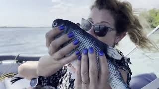 IMG 3789 2