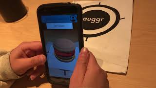 MVP UI Test Video - EECS 441 woooo auggr