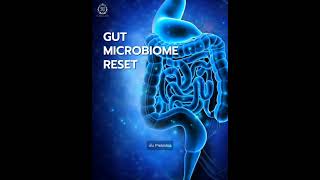 Gut Microbiome Reset | Le Mixé Le More