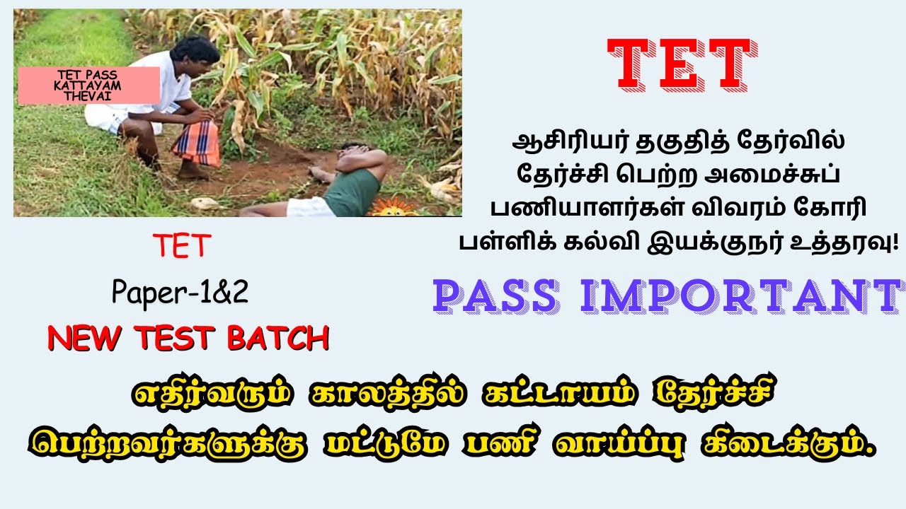 🤢2% Promotion Only Test Pased Non-Teaching Staff | TET Test Batch | Paper-1&2