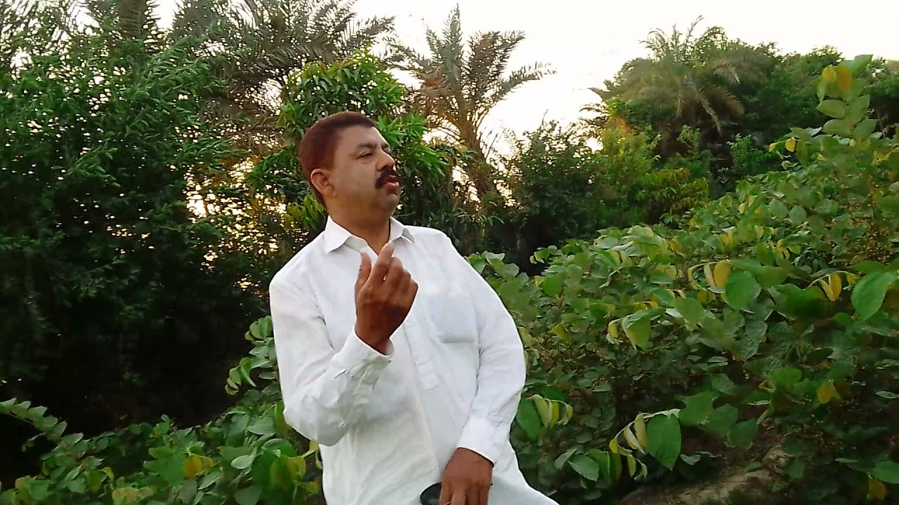 falsA farming , fruiting , picking and marketing