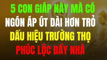 5 CON GIÁP CÓ NGÓN ÁP ÚT DÀI HƠN NGÓN TRỎ – DẤU HIỆU TRƯỜNG THỌ, PHÚC LỘC ĐẦY NHÀ