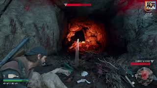 Days Gone - Hordicide 10: Horde de River Flow Farms / Gameplay