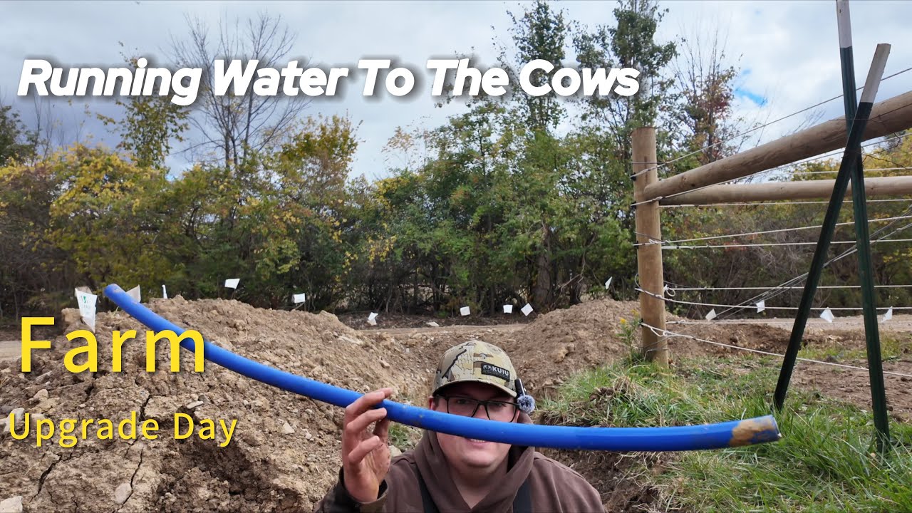 Installing a Winter-Proof Water Line for the Cows | Peachblow Cattle Company