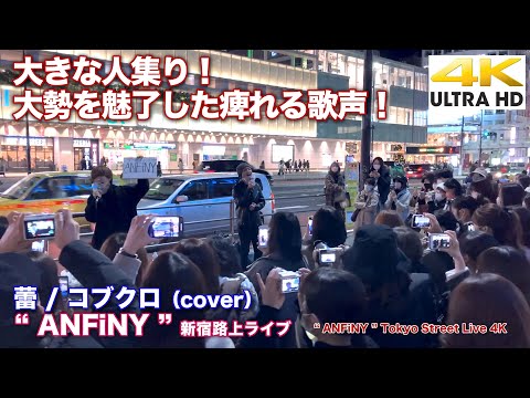 【4K】大きな人集り！大勢を魅了した痺れる歌声！　蕾 / コブクロ（cover） " ANFiNY "  2021.12.1 新宿路上ライブ 4K動画