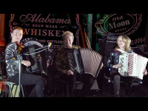 The Doors. Alabama Song (Whisky Bar). AccordionRock cover.