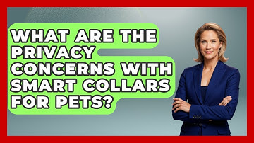 What Are the Privacy Concerns With Smart Collars for Pets? | TeleVet Talk News