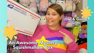 Mystery SQUSIHMALLOWS | Owl & Goose Gifts Mystery Box