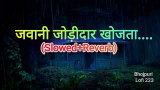 जवन जडदर खजत Khesari Lal Yadav New Bhojpuri Lofi Song 2024Slowedreverb