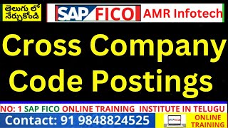 Cross Company Code Postings  - SAP FICO tutorial  in telugu- Cross Company Code Concept