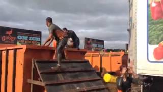 Telegraph Mens Tough Mudder Experience