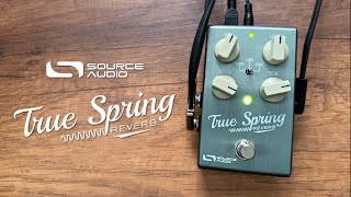Source Audio True Spring - 6 "Non-spring" Presets