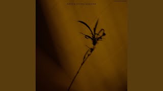 The Ellipse Net Worth