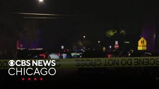 Man killed after struggle with Illinois State Police in Woodlawn