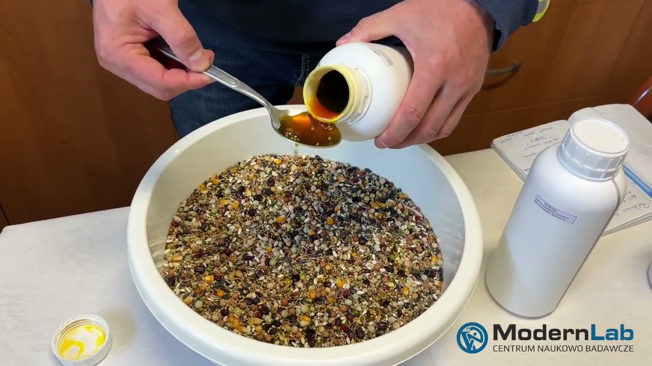 Jak wygląda suplementacja całoroczna gołębi w hodowli Rafała Pasonia- porady, produkty i wskazówki.