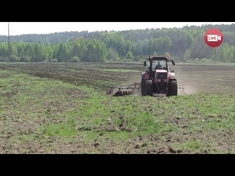 Хозяин вольво фирмы