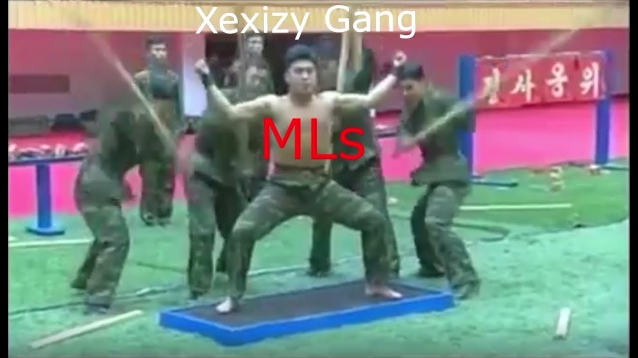 THE XEXIZY SHITPOST