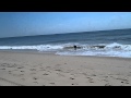 Boogie Boarding in Montauk