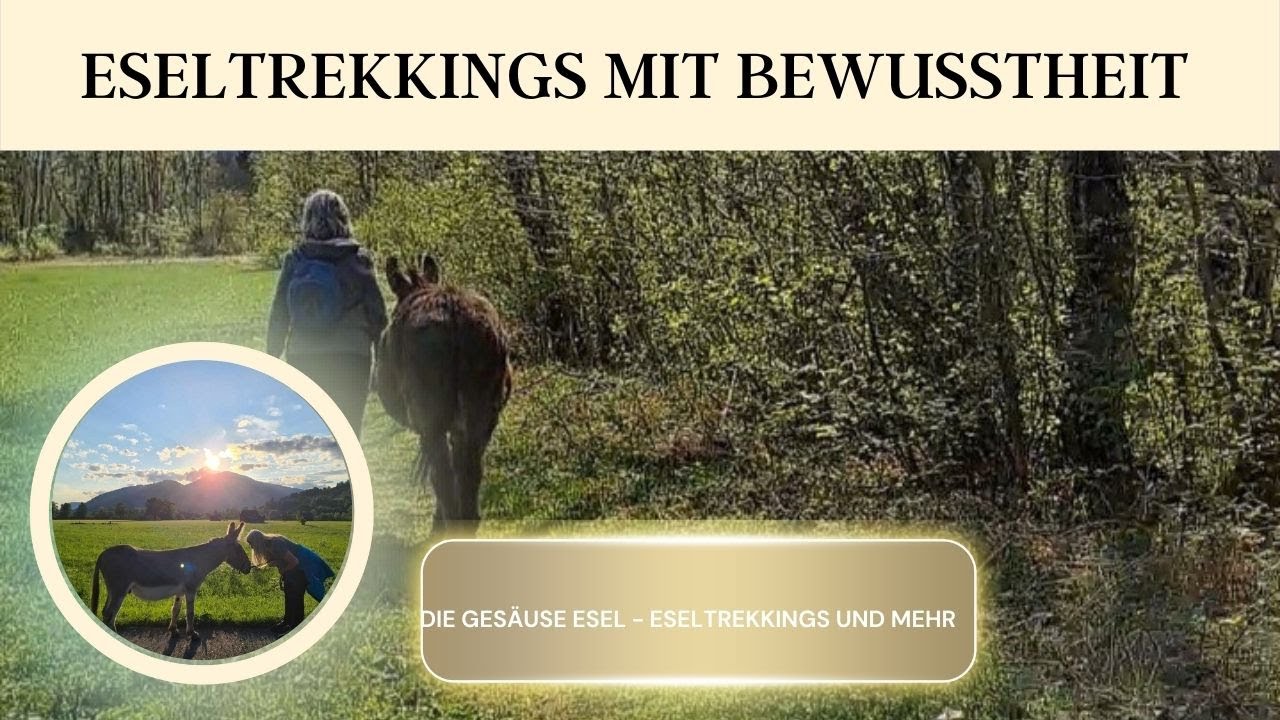 Eseltrekkings mit Bewusstheit