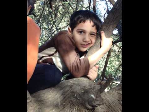 صور أحفاد وأولاد الشيخ حسين عشيش 