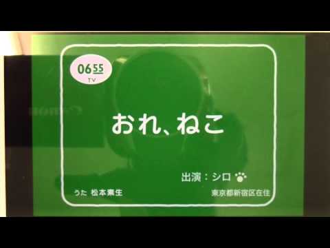 思い出ぽん！「おれ、ねこ」