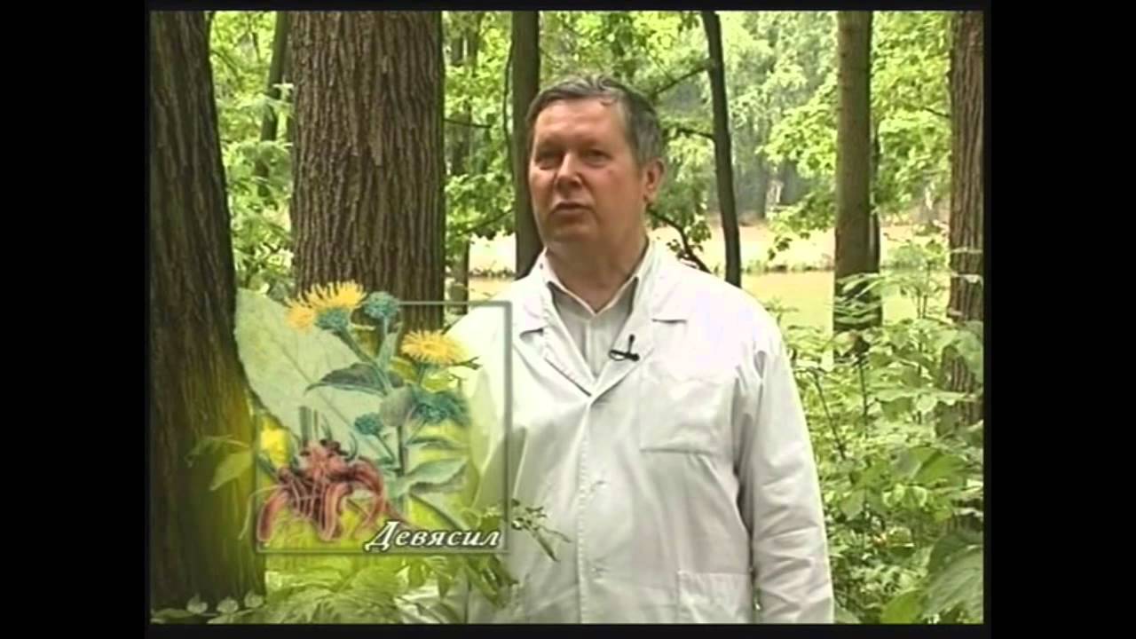 Лекарственные растения